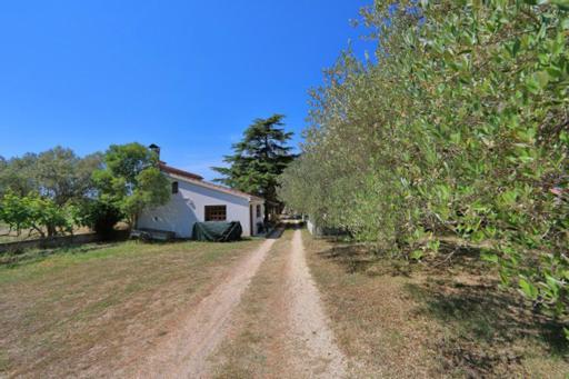 Apartmani Pjer 2 Bibinje Buitenkant foto